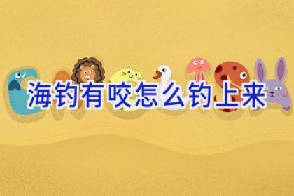 海钓有咬怎么钓上来