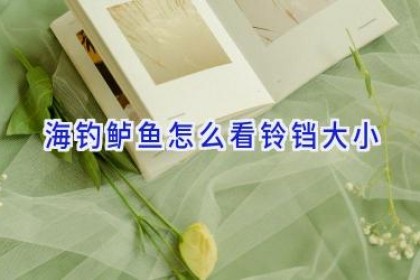 海钓鲈鱼怎么看铃铛大小