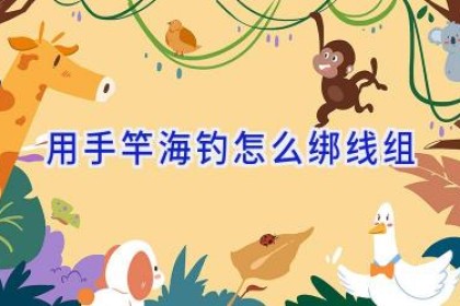 用手竿海钓怎么绑线组
