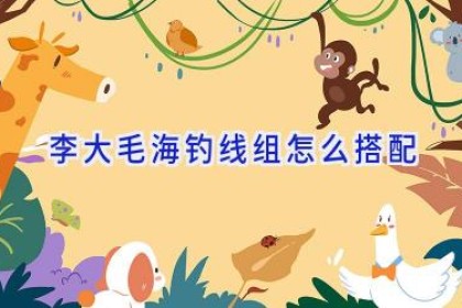 李大毛海钓线组怎么搭配