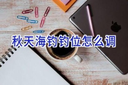 秋天海钓钓位怎么调