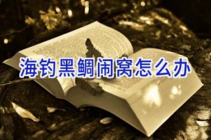 海钓黑鲷闹窝怎么办
