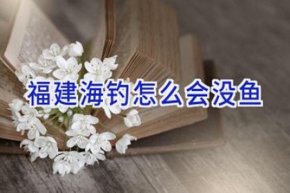 福建海钓怎么会没鱼