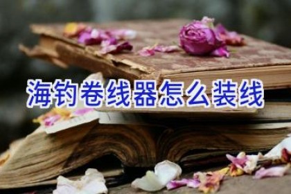 海钓卷线器怎么装线