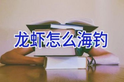 龙虾怎么海钓