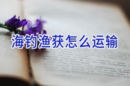 海钓渔获怎么运输