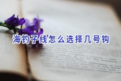 海钓子线怎么选择几号钩