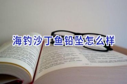 海钓沙丁鱼铅坠怎么样
