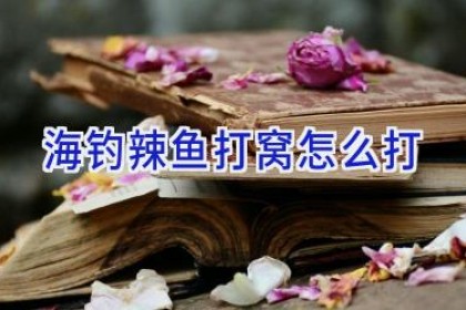 海钓辣鱼打窝怎么打