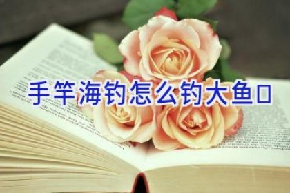 手竿海钓怎么钓大鱼