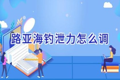 路亚海钓泄力怎么调