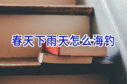 春天下雨天怎么海钓