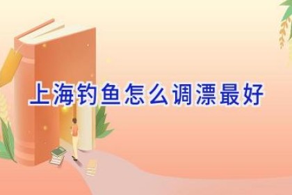 上海钓鱼怎么调漂最好