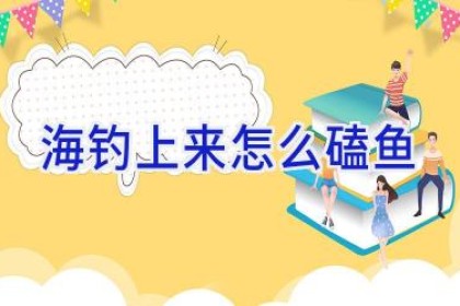 海钓上来怎么磕鱼
