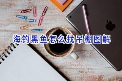 海钓黑鱼怎么找吊棚图解