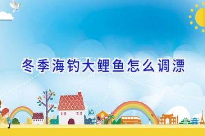 冬季海钓大鲤鱼怎么调漂