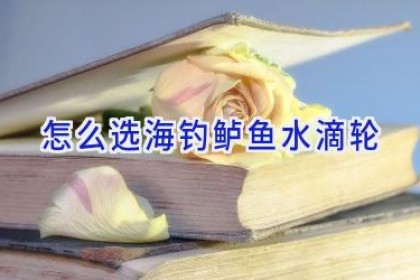 怎么选海钓鲈鱼水滴轮