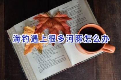 海钓遇上很多河豚怎么办
