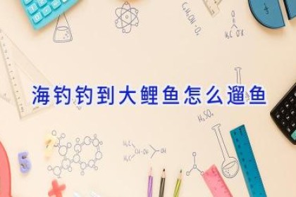 海钓钓到大鲤鱼怎么遛鱼