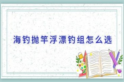 海钓抛竿浮漂钓组怎么选