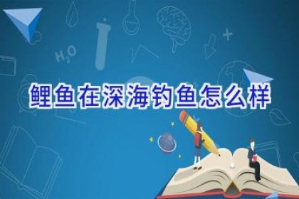 鲤鱼在深海钓鱼怎么样