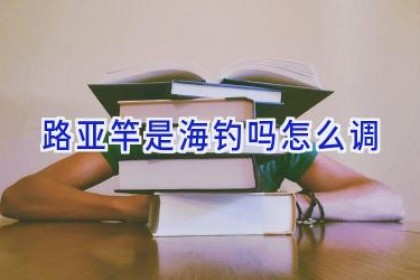 路亚竿是海钓吗怎么调