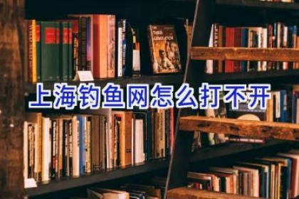 上海钓鱼网怎么打不开