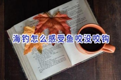 海钓怎么感受鱼咬没咬钩
