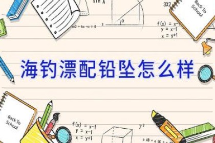 海钓漂配铅坠怎么样