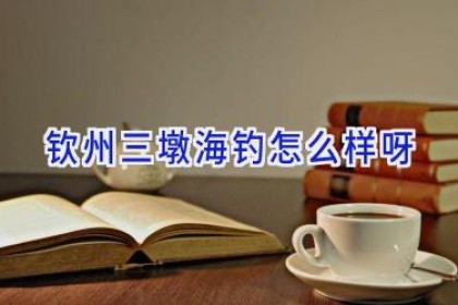 钦州三墩海钓怎么样呀