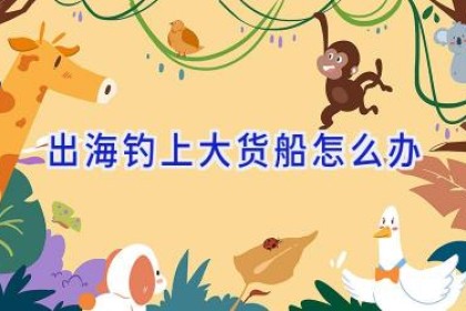 出海钓上大货船怎么办
