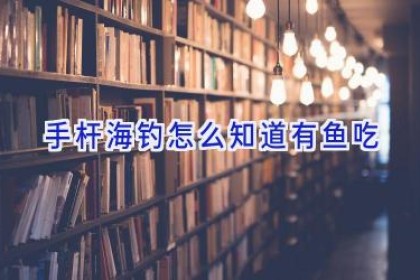 手杆海钓怎么知道有鱼吃