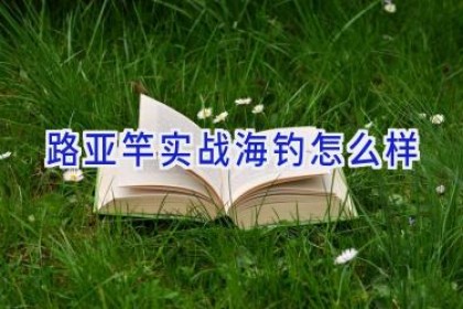 路亚竿实战海钓怎么样