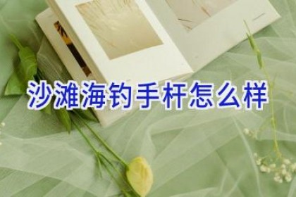 沙滩海钓手杆怎么样