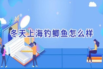 冬天上海钓鲫鱼怎么样