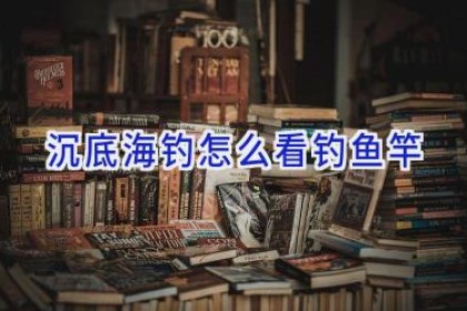 沉底海钓怎么看钓鱼竿