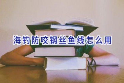 海钓防咬钢丝鱼线怎么用