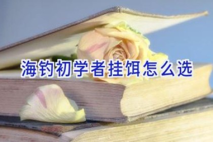 海钓初学者挂饵怎么选
