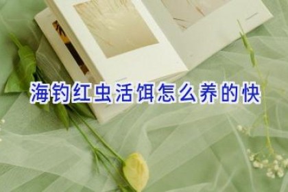 海钓红虫活饵怎么养的快