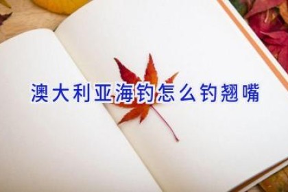 澳大利亚海钓怎么钓翘嘴