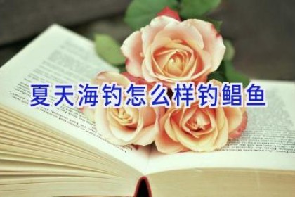 夏天海钓怎么样钓鲳鱼