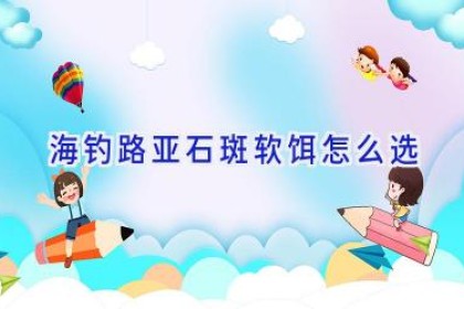 海钓路亚石斑软饵怎么选