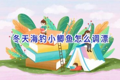 冬天海钓小鲫鱼怎么调漂