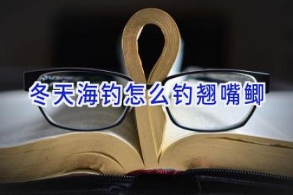 冬天海钓怎么钓翘嘴鲫