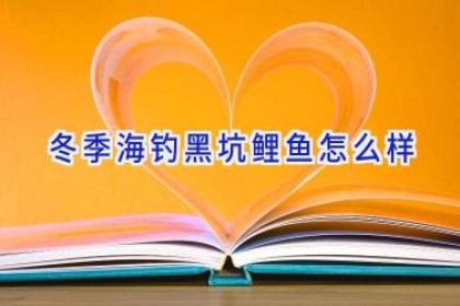 冬季海钓黑坑鲤鱼怎么样