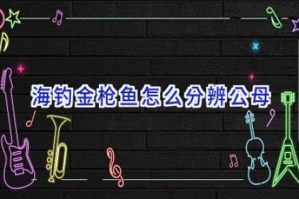 海钓金枪鱼怎么分辨公母