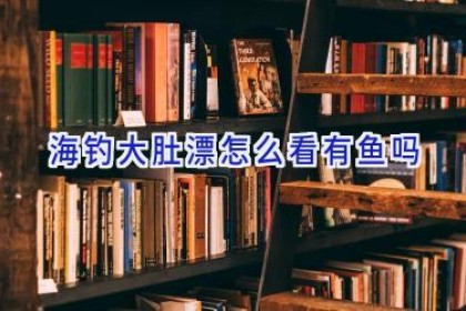 海钓大肚漂怎么看有鱼吗