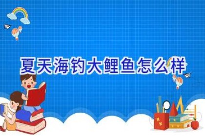 夏天海钓大鲤鱼怎么样