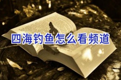 四海钓鱼怎么看频道