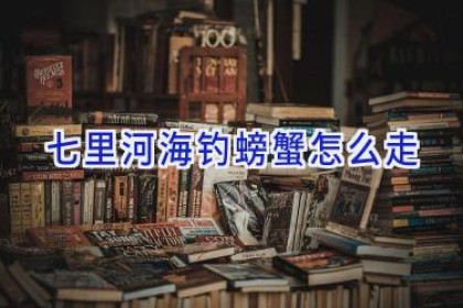 七里河海钓螃蟹怎么走